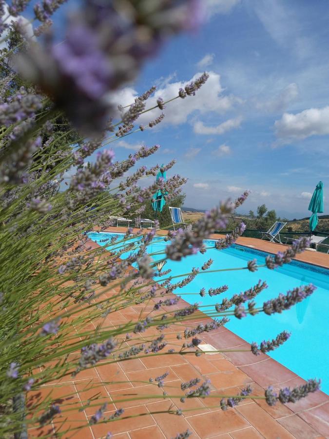 La Mariola Apartments Санта Луче Екстериор снимка